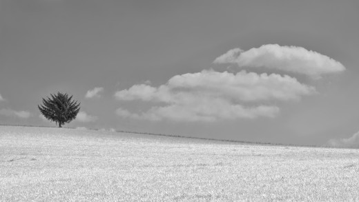 738939 (a): :1920x1080
